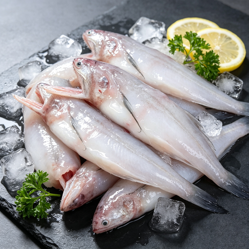 Fresh Grouper